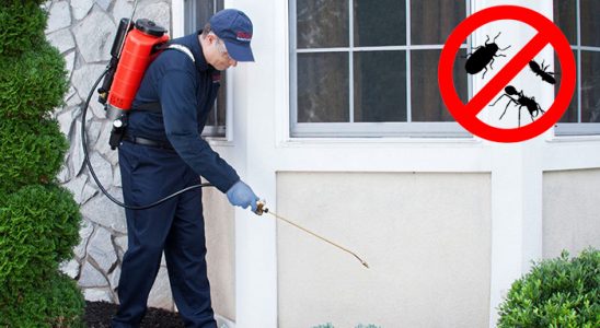 Gelendost Dezenfeksiyon böcek ilaçlama ve haşere kontrolü — ilaclama-tr.com